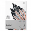 Bloco Bristol Winsor e Newton A3 250g 20 Folhas