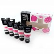 Estojo 5 Aditivos Para Tinta Acrílica Liquitex