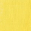 Bastão de Tinta Óleo Sennelier Extra Fine 38ml S3 529 Cadmium Yellow Light