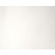 Tinta Aquarela Sennelier L'Aquarelle Extra Fine 10ml S1 116 Titanium White