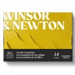 Estojo Tinta Acrílica Winsor & Newton Galeria Essentials 12ml 14 Peças