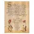 Paperblanks Flemish Rose Ultra Capa Dura Sem Pauta