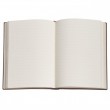 Paperblanks Blue Willow Ultra Capa Dura Pautado
