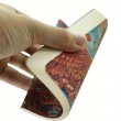 Paperblanks Cahiers Firebird A6 Pautado