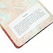 Paperblanks Cahiers Firebird A6 Pautado