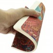 Paperblanks Cahiers Firebird A5 Pautado