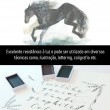 Kit Aquarela Kuretake Gansai Tambi Graphite Colors 6 Cores