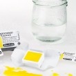 Estojo Tinta Aquarela Pastilha 24 Cores Schmincke Akademie