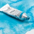 Aquarela Profissional Schmincke Horadam 5ml S1 521 Hooker's Green