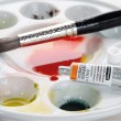 Aquarela Profissional Schmincke Horadam 5ml S1 521 Hooker's Green