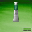 Tinta Aquarela Profissional Winsor & Newton Tubo 5ml S1 311 Hooker's Green
