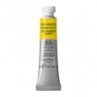 Tinta Aquarela Profissional Winsor & Newton Tubo 5ml S1 267 New Gamboge