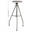 Base Giratória Para Modelagem Cerâmica Trident 12810