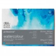 Bloco de Papel Para Aquarela Profissional 300g/m² 26x36cm 20 Folhas Winsor & Newton