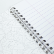 Caderno Clairefontaine Asterix Guerreiro A4 