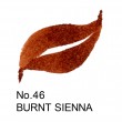 Caneta Cambio Tambien N46 Burnt Sienna