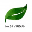 Caneta Cambio Tambien N55 Viridian Kuretake