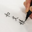 Caneta Pincel Bimoji Fude Brush Japão Ed. Limitada XTWM3-26