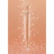 Caneta Caran d'Ache Esferográfica 849 Brut Rosé