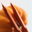 Caneta Rhodia Esferográfica Script Orange