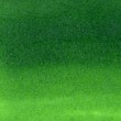 Caneta Zig Clean Color Real Brush Kuretake 411 Cactos Green