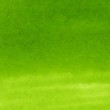 Caneta Zig Clean Color Real Brush Kuretake 410 Leaf Green
