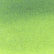 Caneta Zig Clean Color Real Brush Kuretake 406 Sage Green