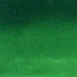 Caneta Zig Clean Color Real Brush Kuretake 412 True Green