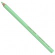 Lápis Jumbo Caran D’Ache Pastel Verde
