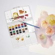 Estojo Tinta Aquarela Pastilha Cotman Winsor & Newton Paiting Plus 25 Peças