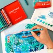 Neocolor II Caran D’Ache 10 Cores Cold Edição Limitada Beya Rebai 