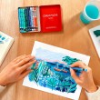 Neocolor II Caran D’Ache 10 Cores Cold Edição Limitada Beya Rebai 