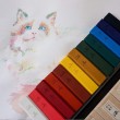 Kit de Pintura Sumiê Kuretake Saiboku Shimbi 14 Cores 