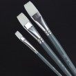 Kit De Pincéis Acrilica Winsor & Newton Foundation 03 Unidades Chato 5295002 