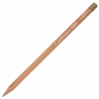 Lápis de Cor Luminance Caran d'Ache 846 Raw Umber 50