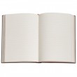 Paperblanks Mary Sheiley Frankenstein Pautado Capa Dura Midi 