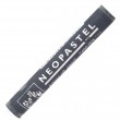 Pastel Oleoso Caran D'Ache Neopastel 008 Greyish Black