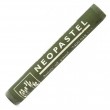 Pastel Oleoso Caran D'Ache Neopastel 018 Olive Grey