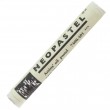 Pastel Oleoso Caran D'Ache Neopastel 401 Ash Grey