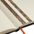 Washi Tape Paperblanks C/2 Destiny & Morris Windrush