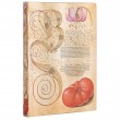 Paperblanks Lily & Tomato Midi Pautado Capa Flexível