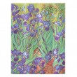 Paperblanks Van Gogh's Irises Capa Dura Pautado Ultra