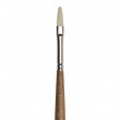 Pincel Winsor & Newton Filbert Artist 01