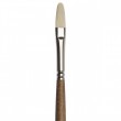 Pincel Winsor & Newton Filbert Artist 04