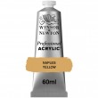 Tinta Acrílica Professional W&N 60ml S2 422 Naples Yellow 