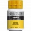 Verniz Acrílico Galeria Satinado Winsor & Newton 250ml 