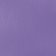 Tinta Acrílica Liquitex Basics Fluída 118ml S1 590 Brilliant Purple