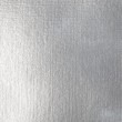 Tinta Acrílica Liquitex Basics Fluída 118ml S2 052 Silver 