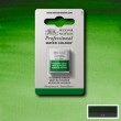Tinta Aquarela Profissional Winsor & Newton Pastilha S1 311 Hooker's Green
