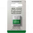 Tinta Aquarela Profissional Winsor & Newton Pastilha S1 311 Hooker's Green